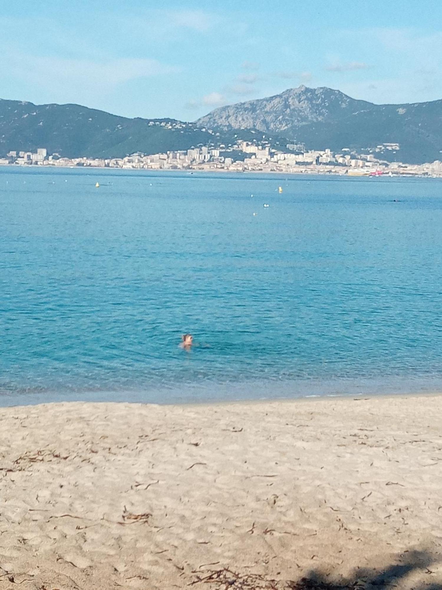 Appart 5 Personnes A Porticcio Avec 2 Piscines Materiel Enfant ,Bebe Clim Extérieur photo